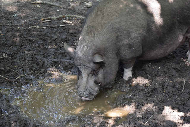 能给予球队 能给予球队